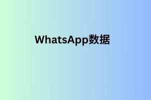 WhatsApp数据