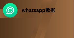 whatsapp数据